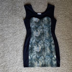 Snakeskin Dress